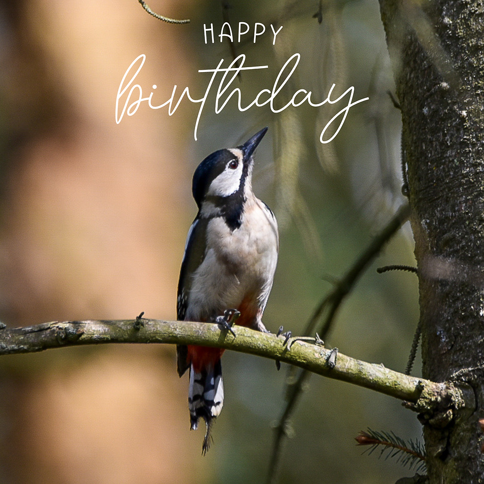 Copyright Sunny Bank Wishes