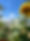 MicrosoftTeams-image (45).png