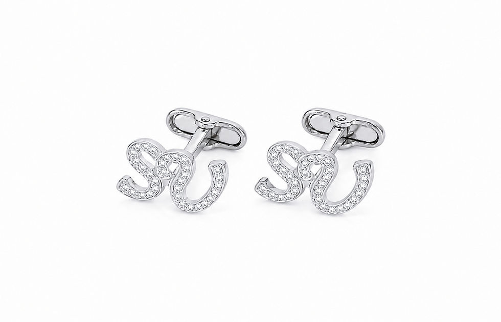 Zircon initials cufflinks - rhodium plated - price range 900 - 1300 nis