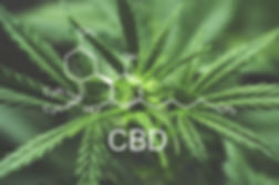 AdobeStock_196814522.jpeg