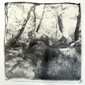 Polaroid transfer