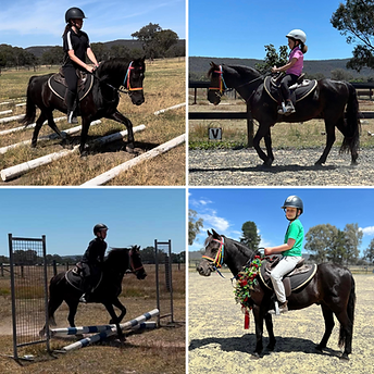 Untitled design (11).png