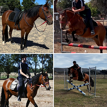 Untitled design (1).png