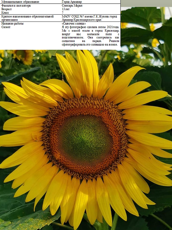 10. Армавир, Слюсарь М., Сыночек солнца.png