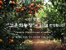 빛으로 자란 홍매향의 인사