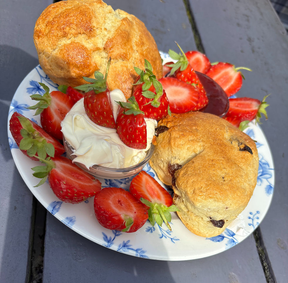 Afternoon cream tea with scones
