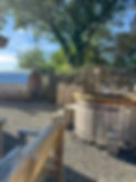 wild spa area.jpeg