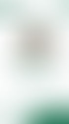 Taller: Comunidades en Curso