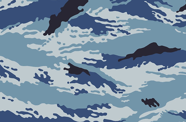 omon kamysh_edited.jpg