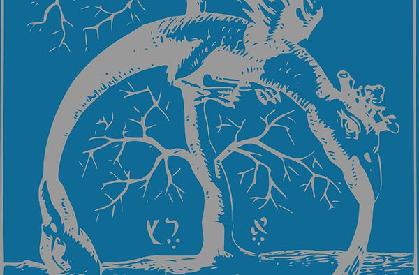 ouroboros site_edited_edited.jpg