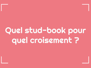 Quel stud-book pour quel croisement ?