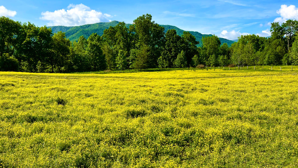 photographs of the great outdoors.