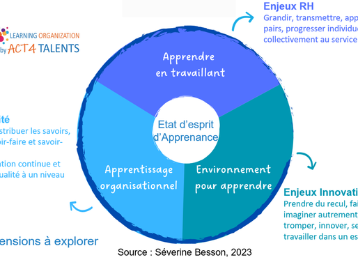 Définition, explication et illustration de ce qu'est l'apprenance.
