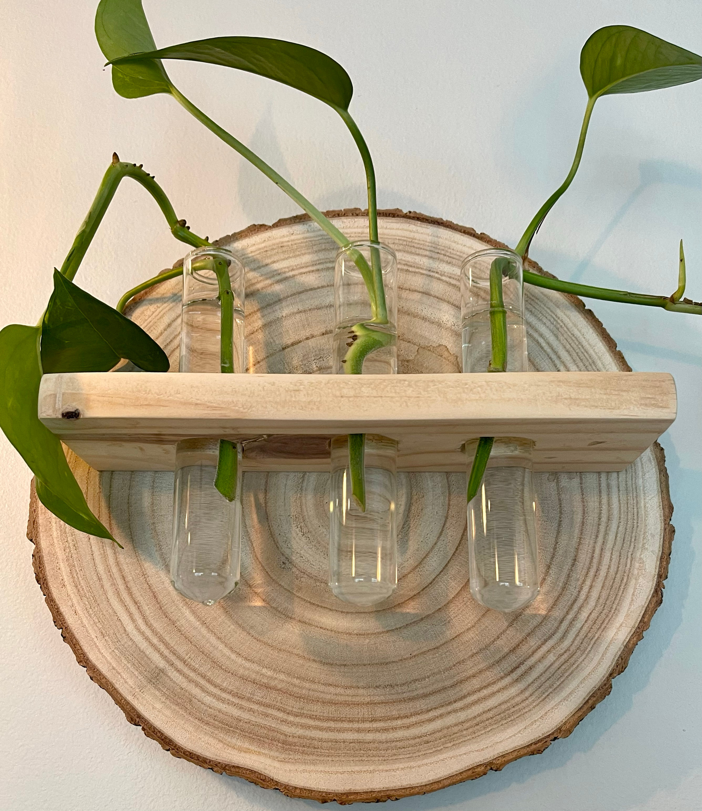 Propagation Station