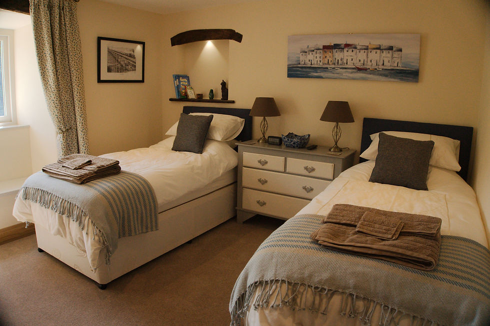 the twin room