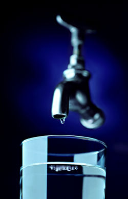 Last Drop # 62