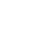 symbole expert.png