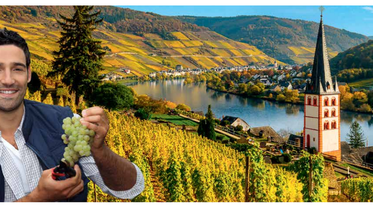 For The Love of Wine