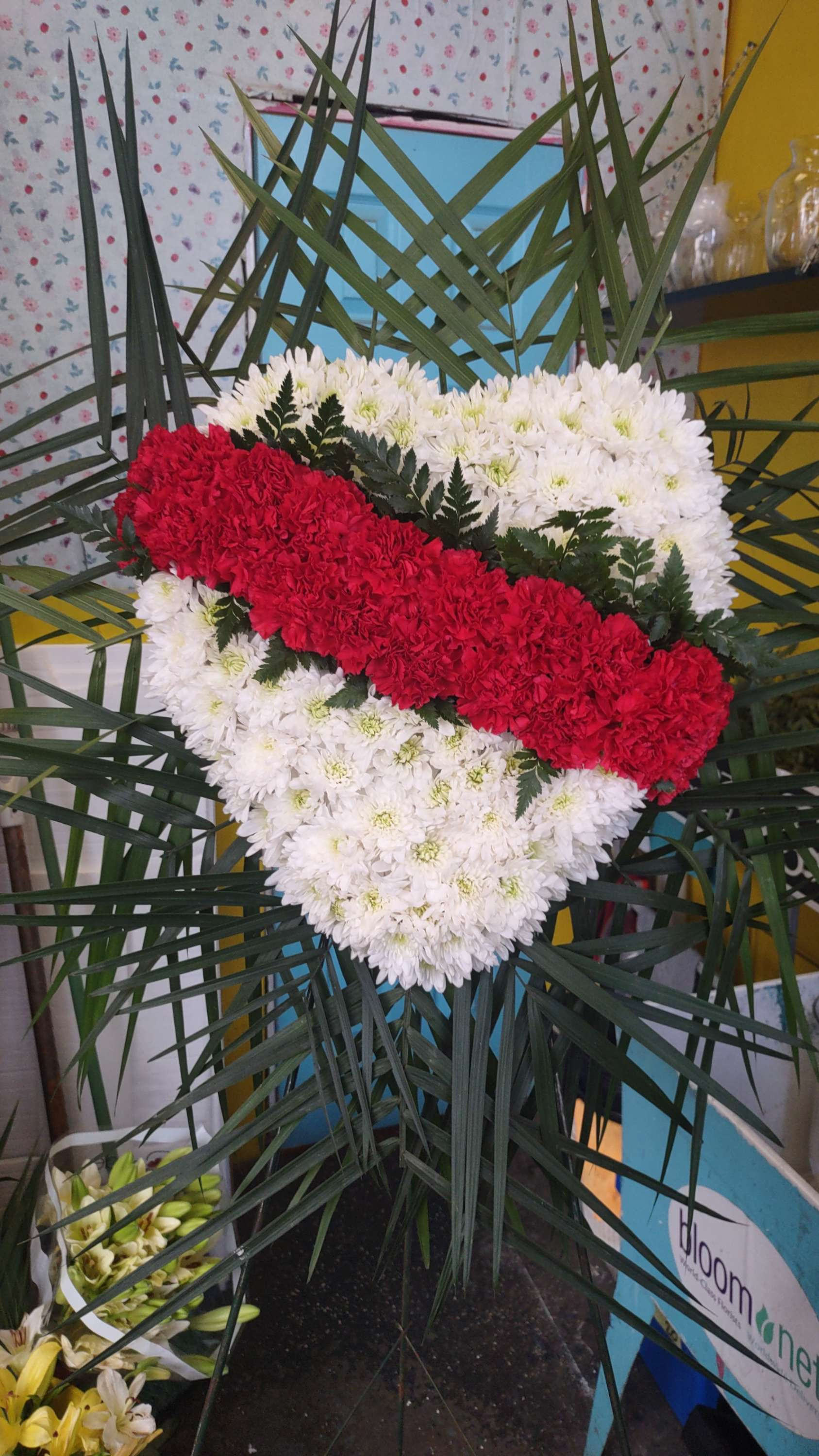 Tributo corazon carnation 12"