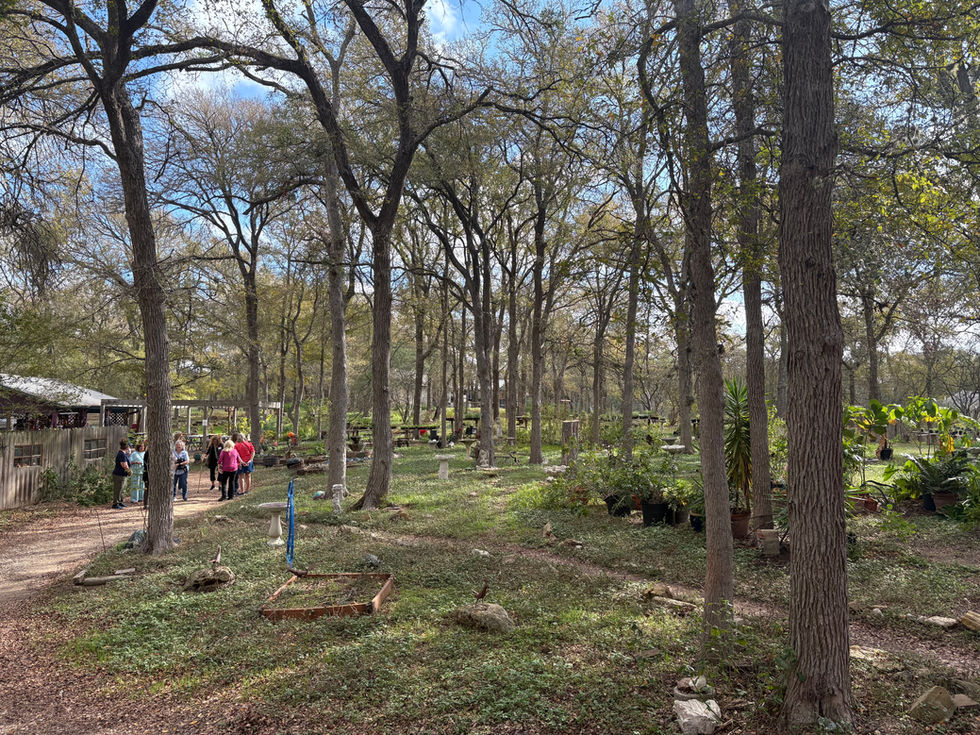 img_2560 linda michael for sharon.jpeg