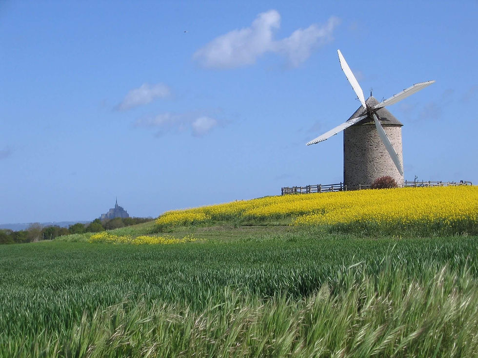 Oude windmolen op een heuvel met gele bloemen en groene velden onder een blauwe hemel. Kasteel op de achtergrond links. Rustige sfeer.