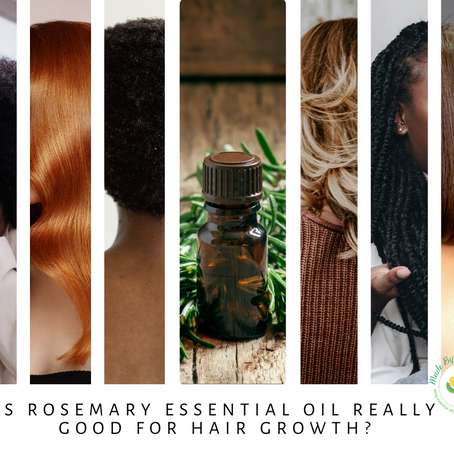 Does Rosemary essential oil deserve all the hype?