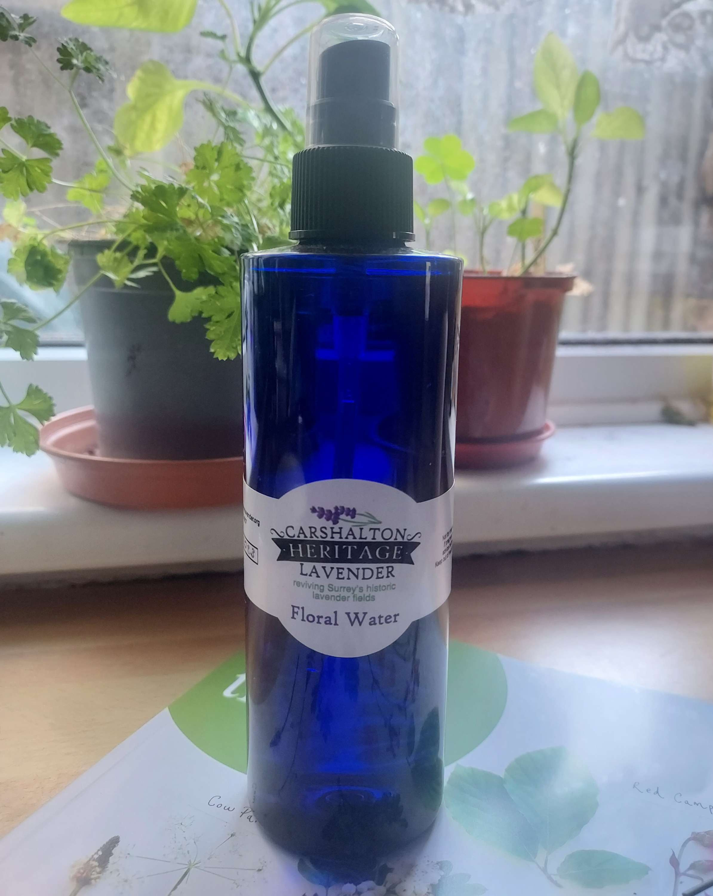 Lavender Floral Water