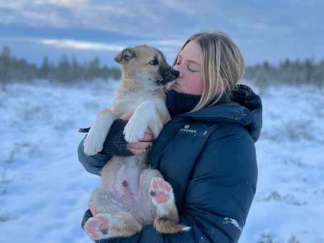 Film om folkehøgskole på Nrk - kortlistet til Oscar!