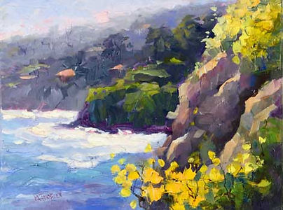 Maryanne Jacobsen Wildflower Cove