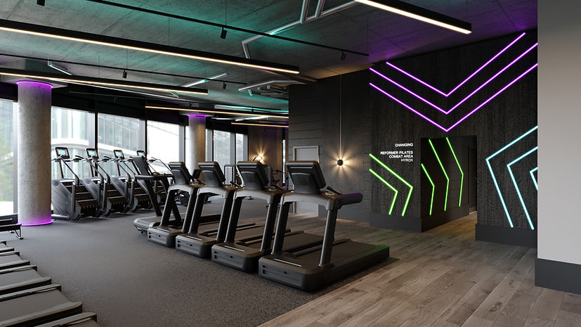 Stars - Cardio 1.jpg
