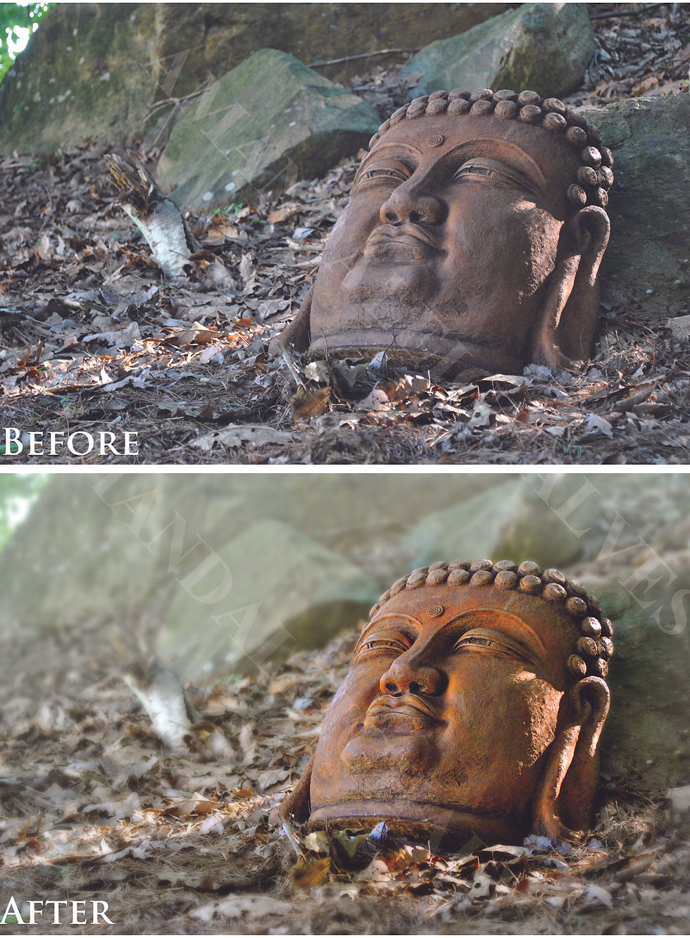 Photography Remaster