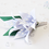 Thumbnail: Boutonnière II - Flor de lapela
