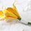 Thumbnail: Boutonnière II - Flor de lapela