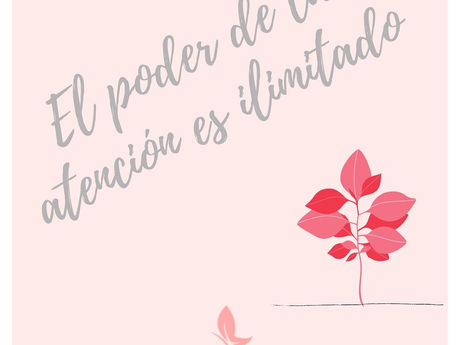 A todo lo que le brindas tu atención crecerá.