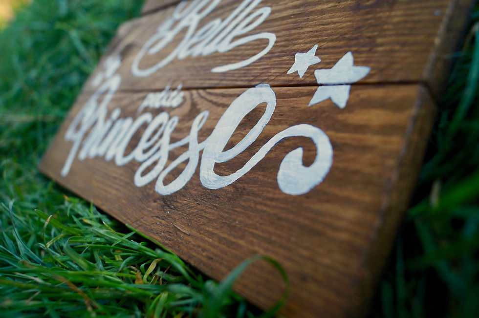 Miniature : Pancarte "Ici dort la belle..."