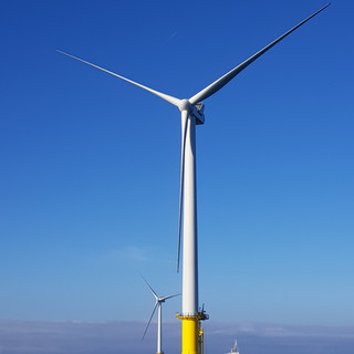 Wind farm array