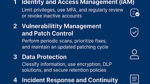 🔹 Information Security Audit