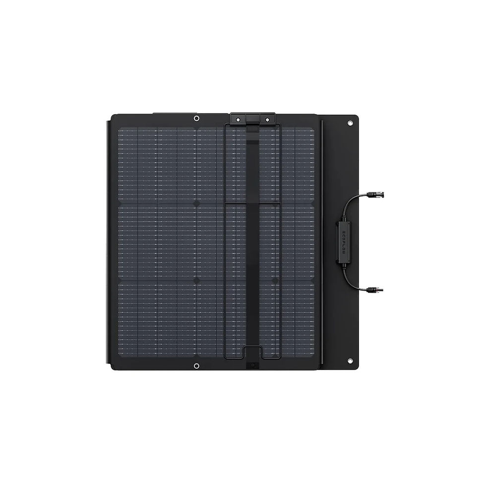 Прев'ю: Сонячна панель EcoFlow 220W NextGen Solar Panel