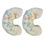 Thumbnail: Soakers White With Lace Flower