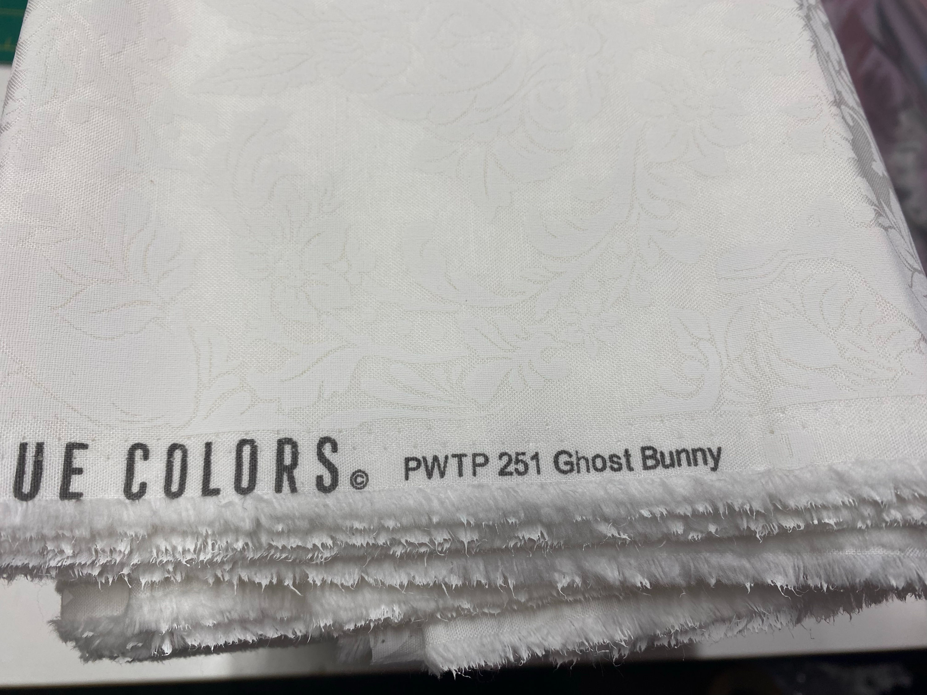 PWTP251 -  Ghost Bunny  - Paper - Full Moon Forest ll - T