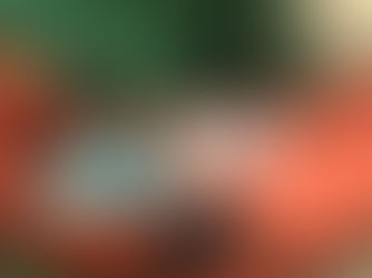 教養孩童與精神健康