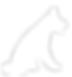 desenho cão