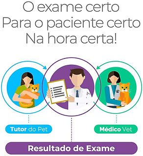arte para divulgar o resultado de exame para tutores e médicos vet