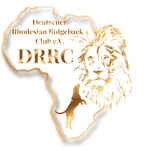 logo+Gold DRRC.png