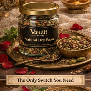 Tired of Snacking on Junk? Here Is Why Vandit Craving Is the Only Switch You Need.