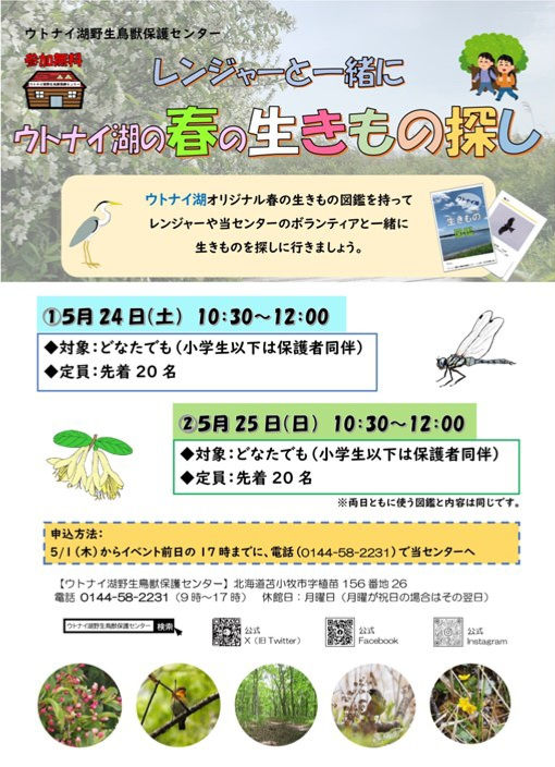 【5/1～イベント前日まで電話で申込】【ウトナイ湖】レンジャーと一緒にウトナイ湖の春の生きもの探し