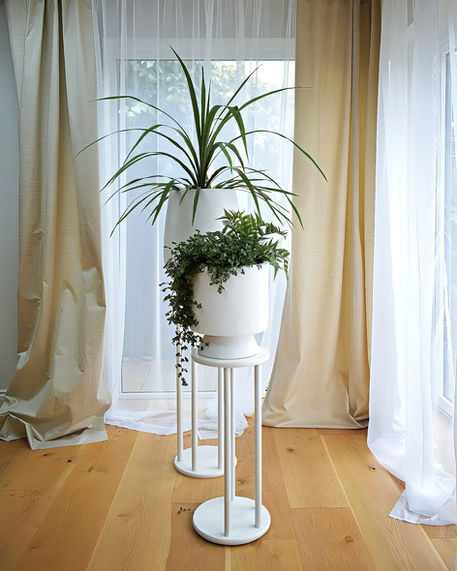 Bright London dining corner with tall indoor plant and sheer curtains in staged apartment.