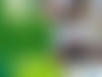 Invitan a comerciantes y público en general a sesión informativa sobre el "Buen Fin"