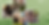 Commmunity-2.png