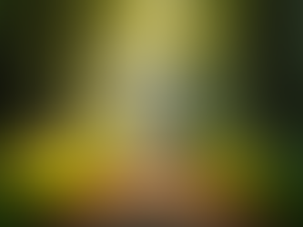 Unlocking the Power of Jungian Tools for Mindful Living and Self-Discovery